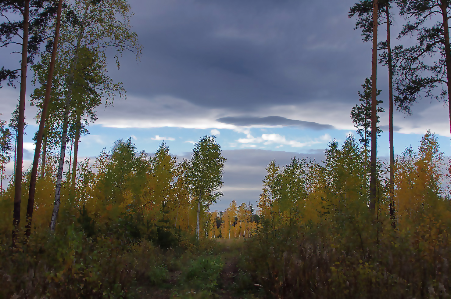 Свежее челябинск