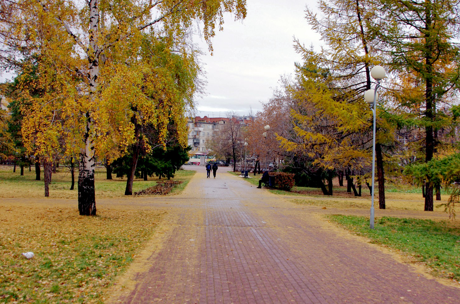 челябинск парк алое поле