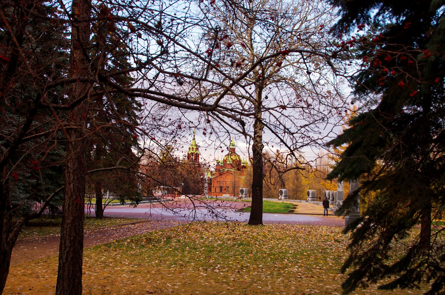 Алое поле челябинск фото