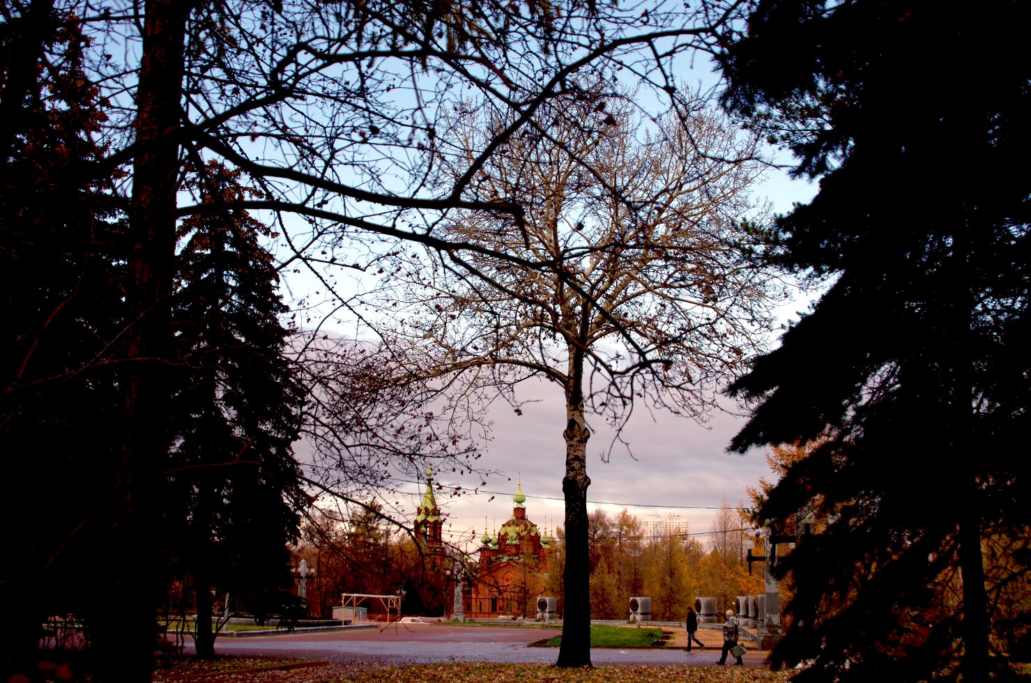 Алое поле в челябинске фото