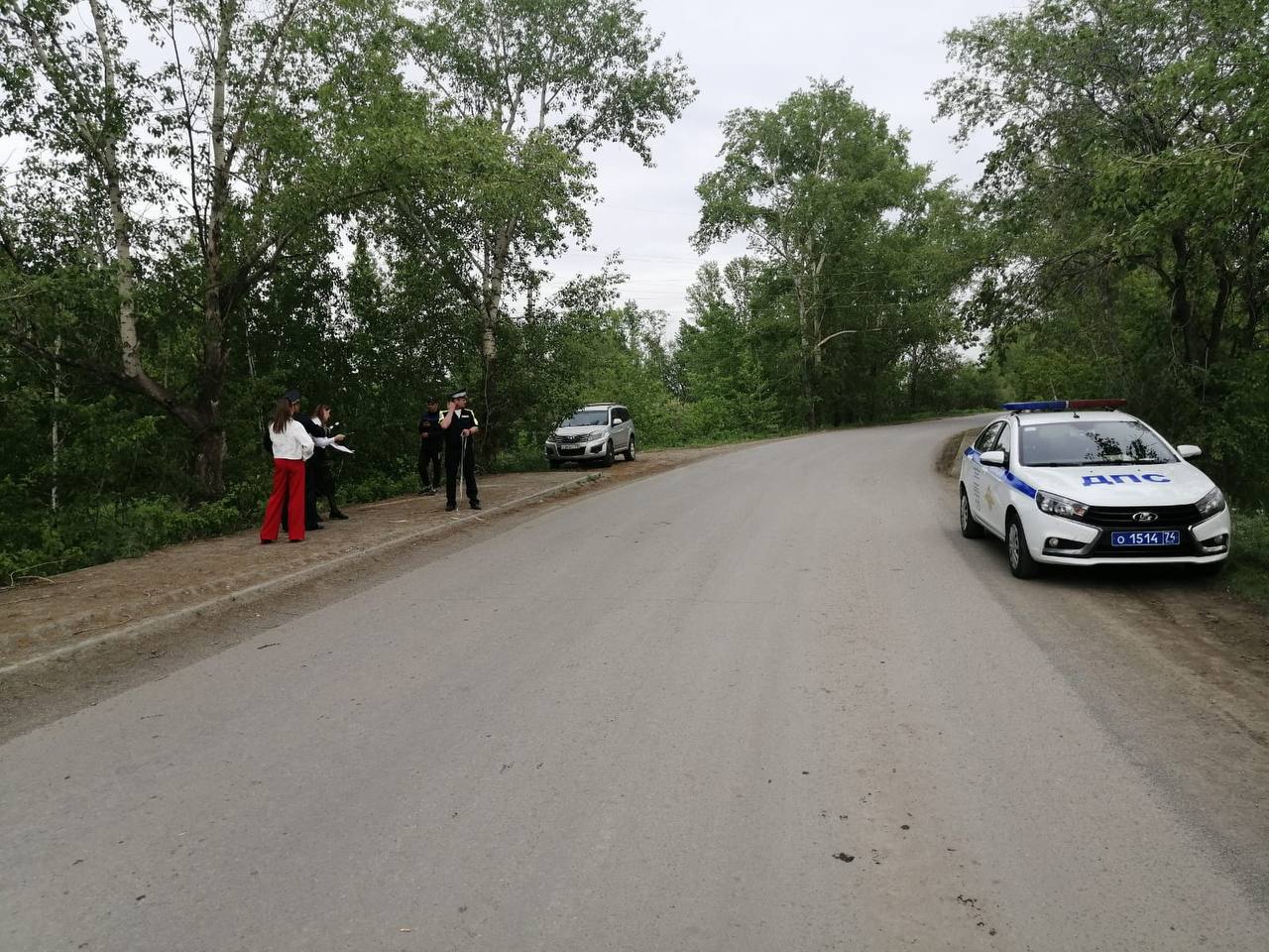 В Тимирязевском автомобиль вылетел с трассы и врезался в дерево, водитель  погиб | Урал-пресс-информ