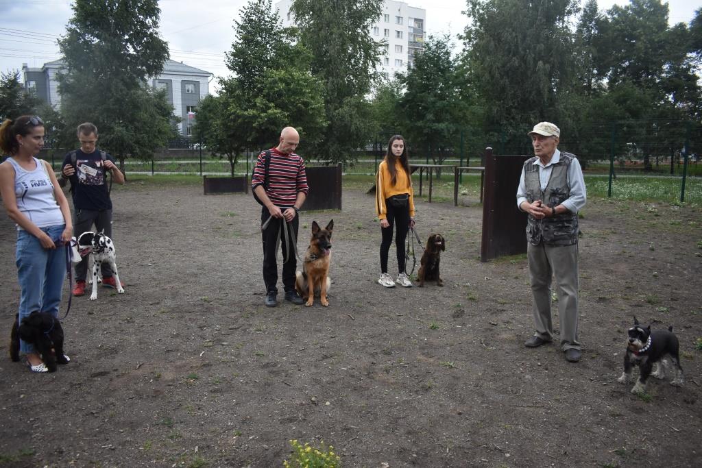 Собаки челябинск