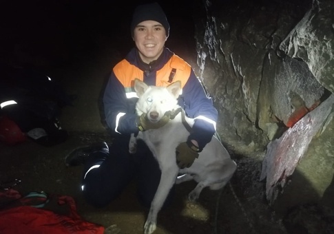 В Кыштыме спасли пса, который провалился в 13-метровую шахту