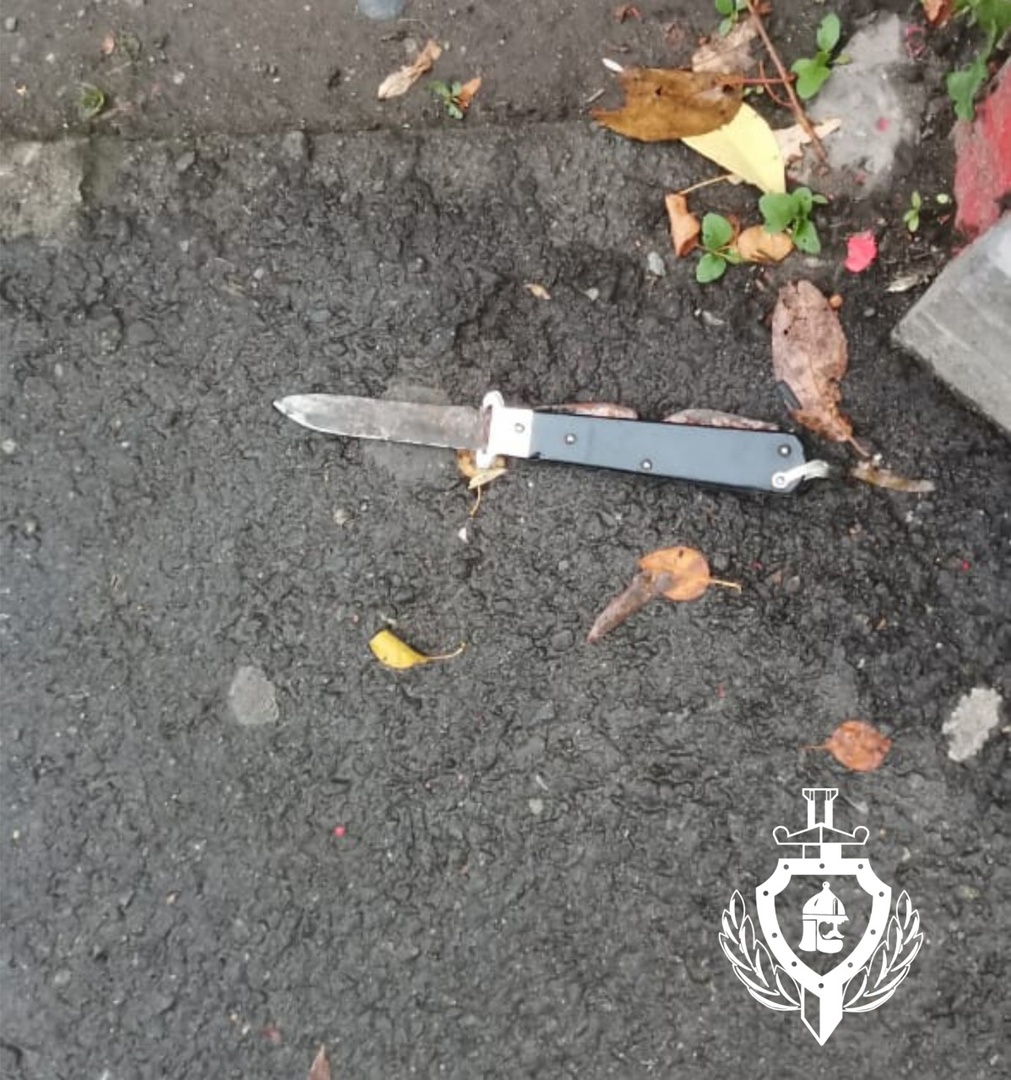 Копейчанин напал с ножом на детей 