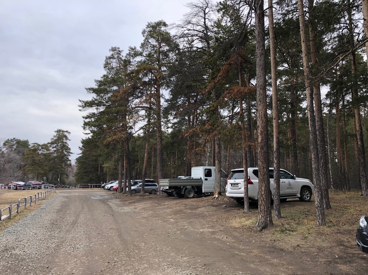 Челябинцы в соцсети обсуждают проблему парковки автомобилей в городском  бору | Урал-пресс-информ