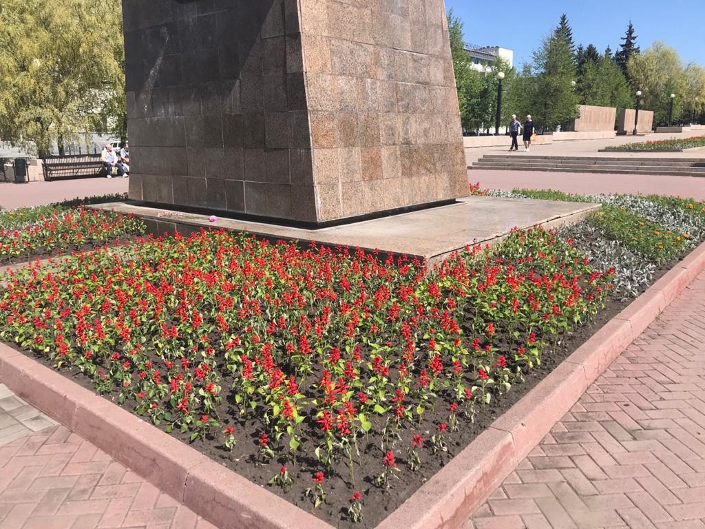 Бульвар славы челябинск фото Бульвар Славы в Челябинске превратился в большой цветник Новости 8 мая 2020