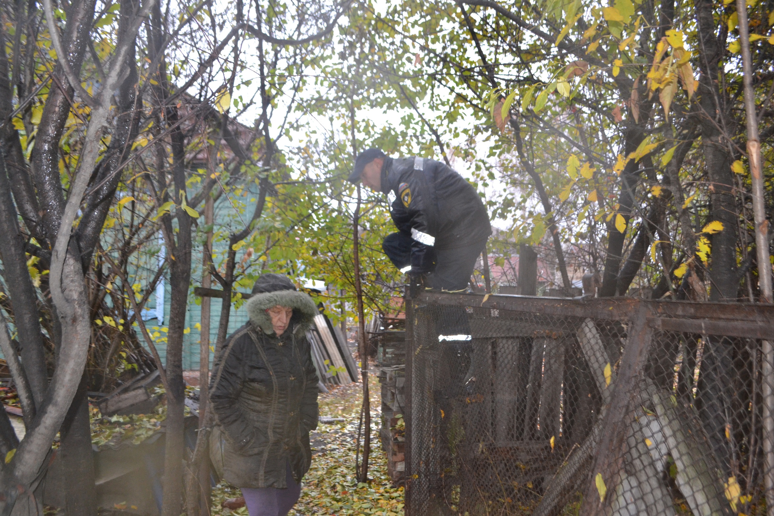 В Челябинске спасли восемь собак, хозяйка которых умерла дома | 02.11.2022  | Челябинск - БезФормата