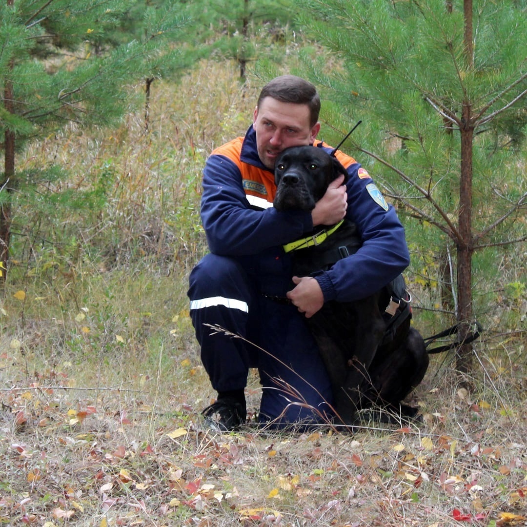 Сегодня, 20 июня, отмечается день образования кинологической службы МЧС  России | Урал-пресс-информ