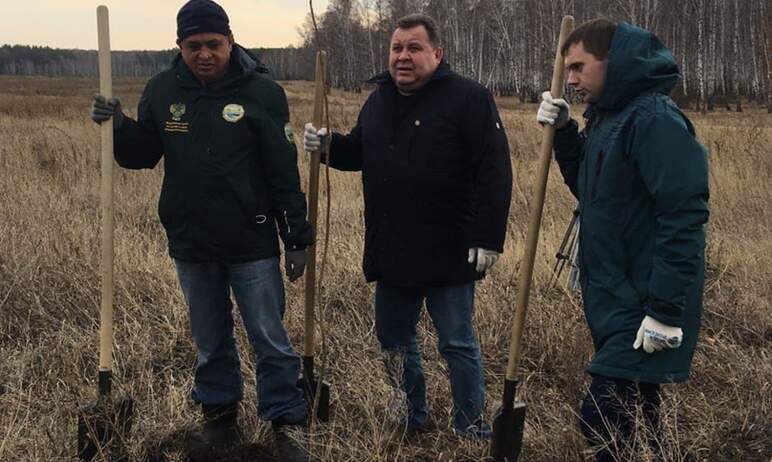 В Сосновском районе Челябинской области вчера, 28-го октября, по инициативе министерства экологии