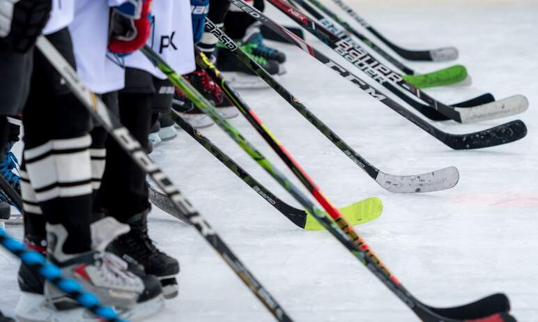 В Челябинской области завершился первый сезон Детской хоккейной лиги (ДХЛ), которая была создана 