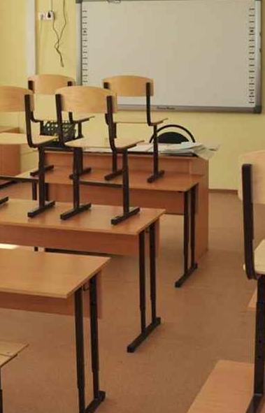 В общеобразовательных учреждениях Сосновского района Челябинской области приостановлен учебный пр