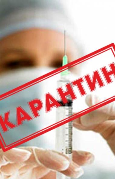 В Коркинском муниципальном районе (Челябинская область) приостановлен учебный процесс еще в двух 