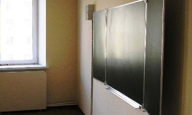 В Челябинской области еще два класса закрыли на карантин по острой респираторной вирусной инфекци