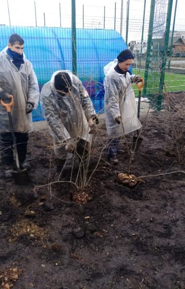 В Каслях (Челябинская область) в рамках государственной программы «Зеленый город» закончена работ