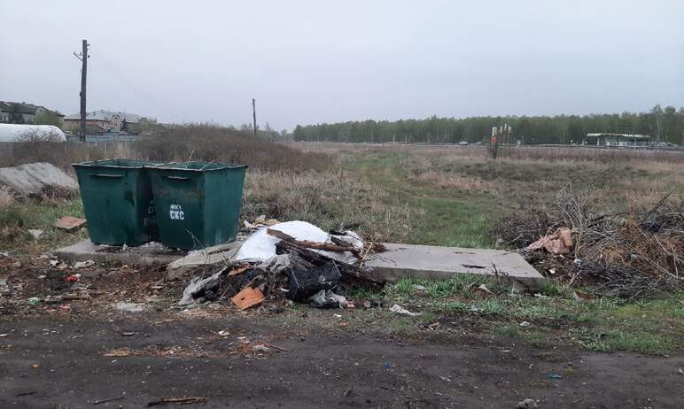 В Коркино (Челябинска область) тлеющая зола, сброшенная в мусорный контейнер, едва не спалила мус