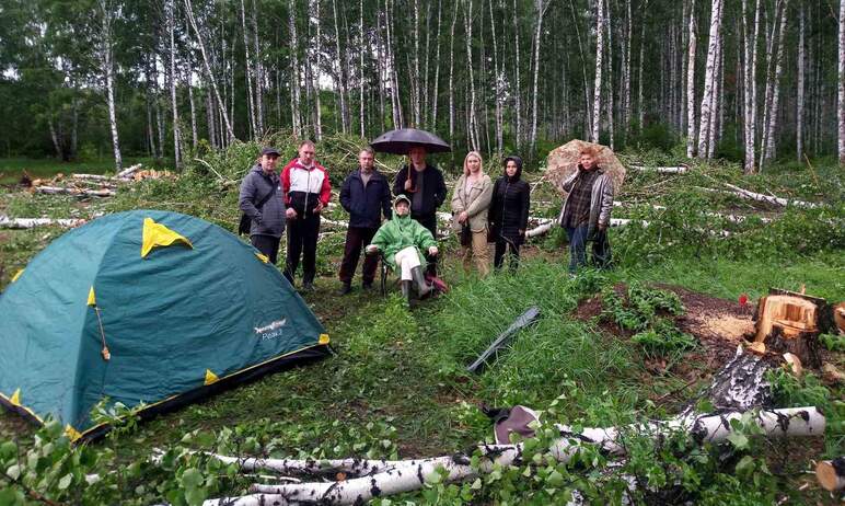 Жители челябинского микрорайона «Ньютон» разбили палаточный лагерь в лесу, который начали вырубат