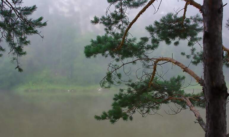 Молодое «бабье лето» в Челябинской области началось с сильных и затяжных дождей. Прохладная и сыр