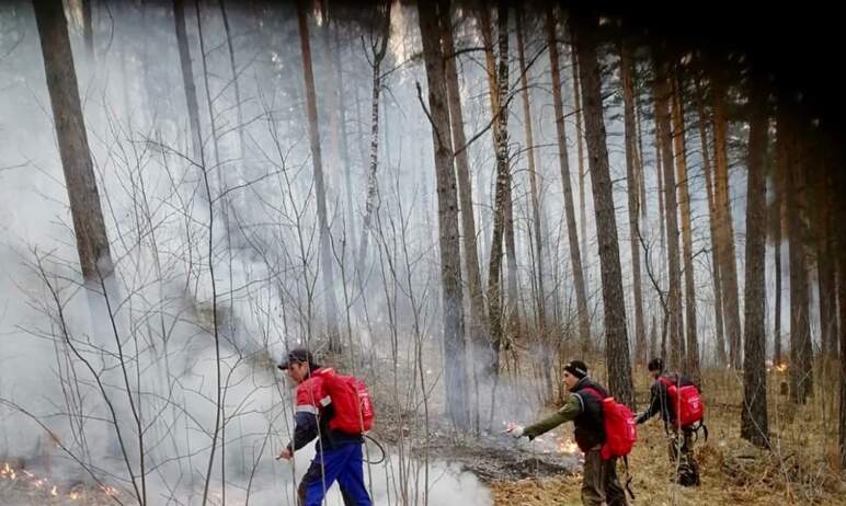 На территории Катав-Ивановского района (Челябинская область) введен особый противопожарный режим.