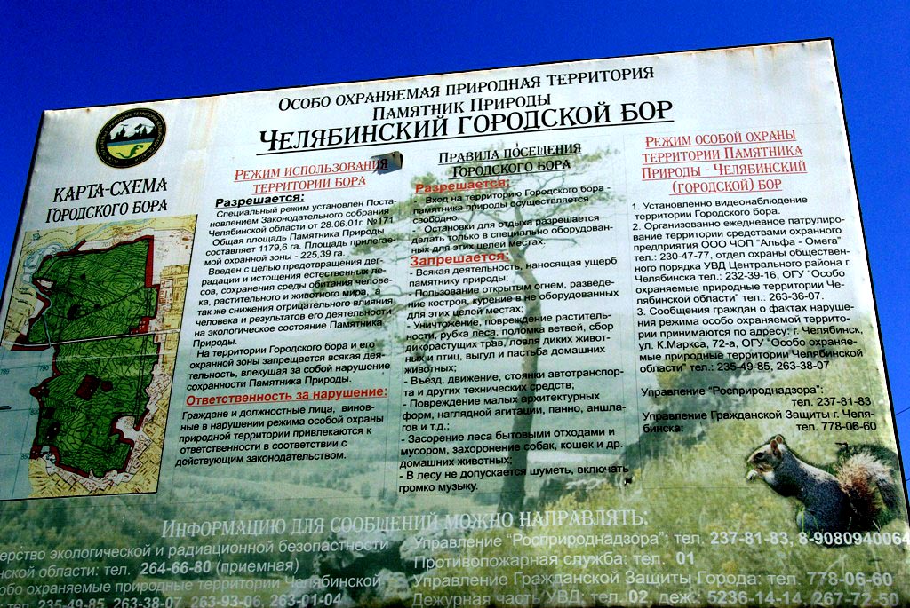 Челябинский городской бор карта