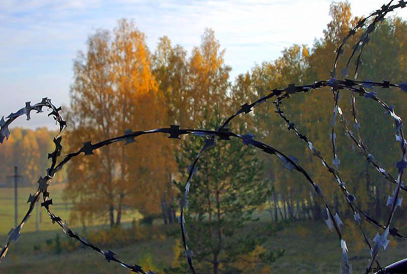 Обитатель колонии-поселения под Миассом, отбывающий срок за кражу, выбравшись в город в сопровожд