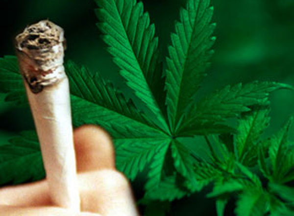 Приговоры по сбыте марихуаны где купить коноплю в екатеринбурге