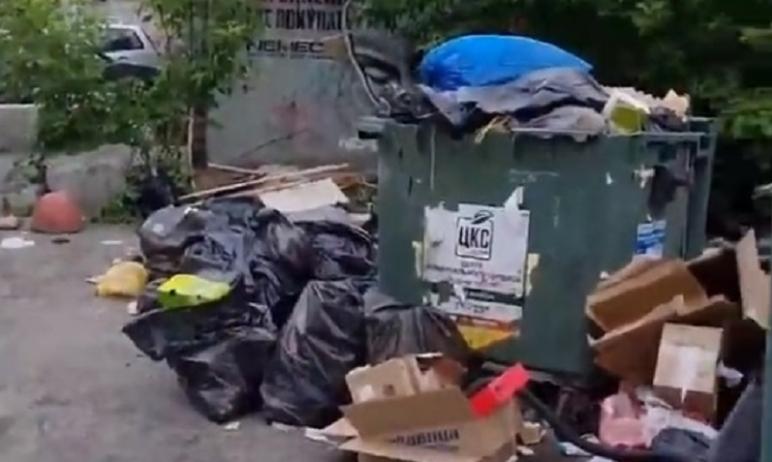 В Челябинской области сотрудники Центра коммунального сервиса возобновили проверки контейнерных п