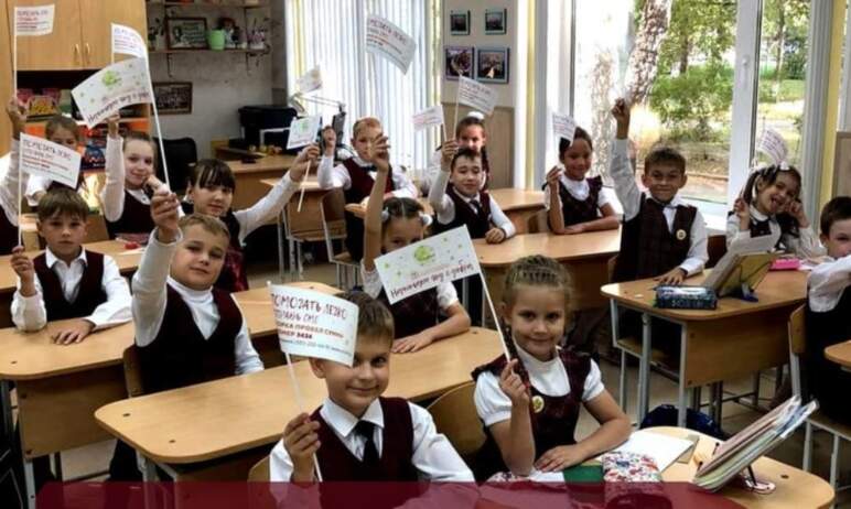Челябинские школьники в День знаний, первого сентября, запустят в небо бумажные самолетики в подд