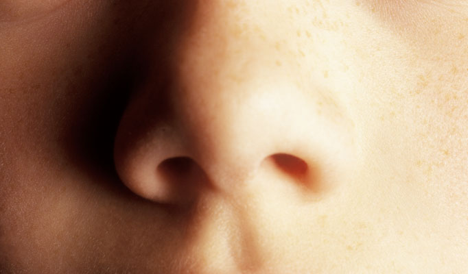 Искривление носовой перегородки – один из самых часто встречающихся дефектов носовой полости. Лиш