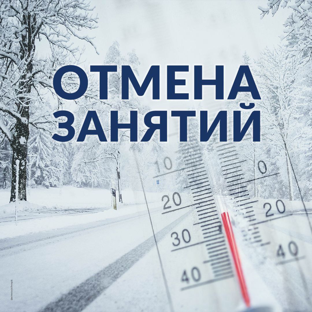 Отменены занятия в школах Златоуста для начальных классов | 24.01.2024 |  Челябинск - БезФормата