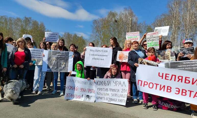 Жители Челябинской области активно противостоят 