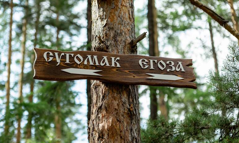 В Челябинской области, в окрестностях Кыштыма, этим летом появятся 