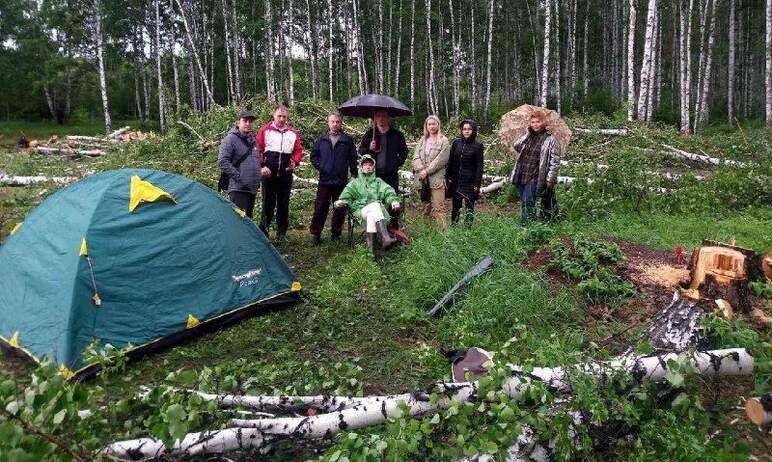 В Челябинске на участке, где началась вырубка леса под строительство катка УралГУФК, выставили на