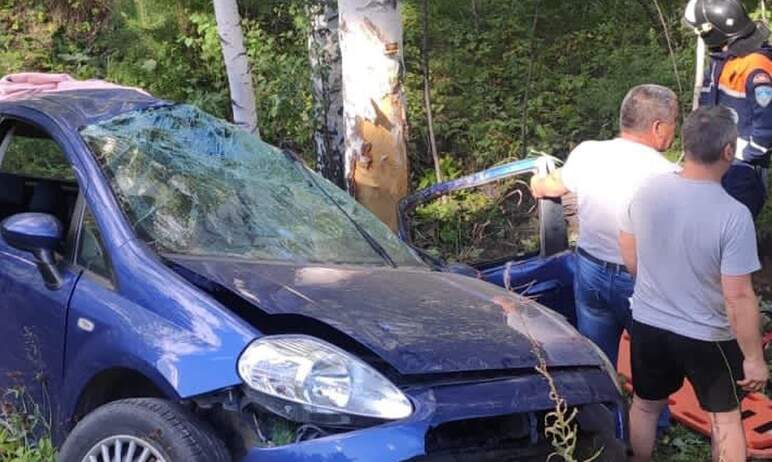 В Аргаяшском районе (Челябинская область) машину семью из Озерска едва не придавило огромным дере