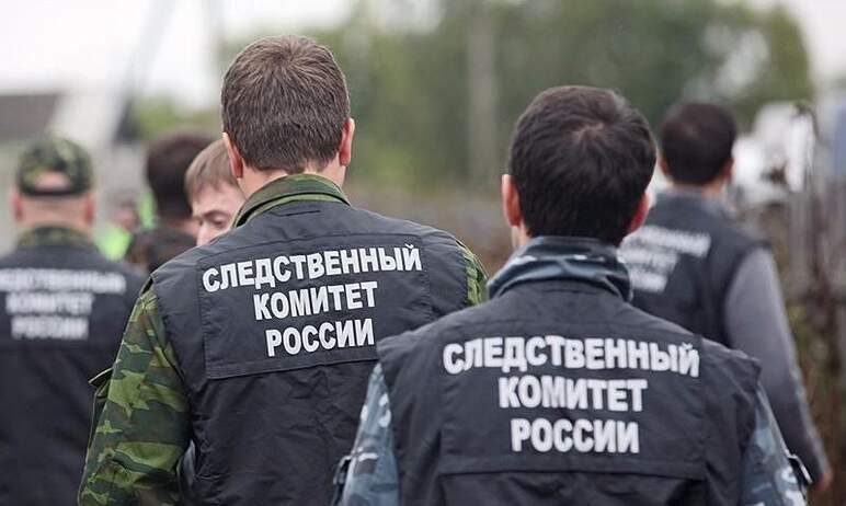 Следственное управление следственного комитета Челябинской области проводит проверку по факту сме