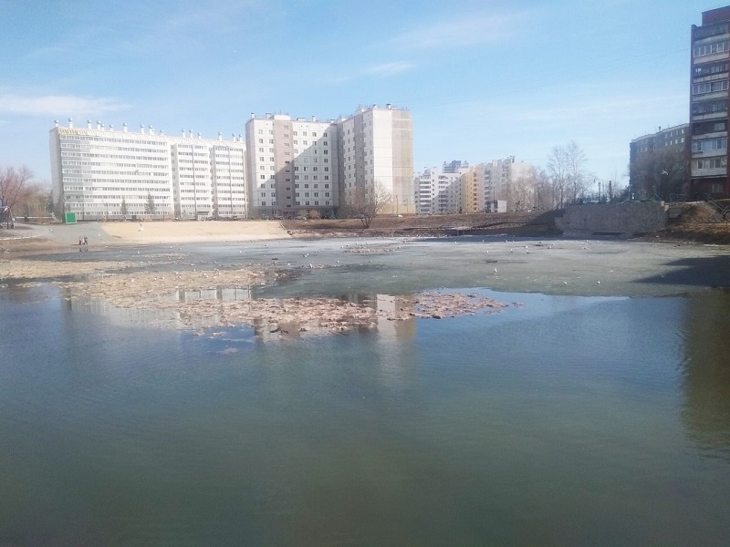 Суздальский пруд в Новокосино Церковь