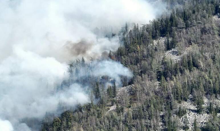 Лесной пожар на территории национального парка «Зигальга» (Челябинская область) полыхает третьи с