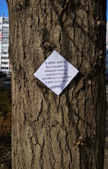 Жители челябинского поселка Чурилово, где 