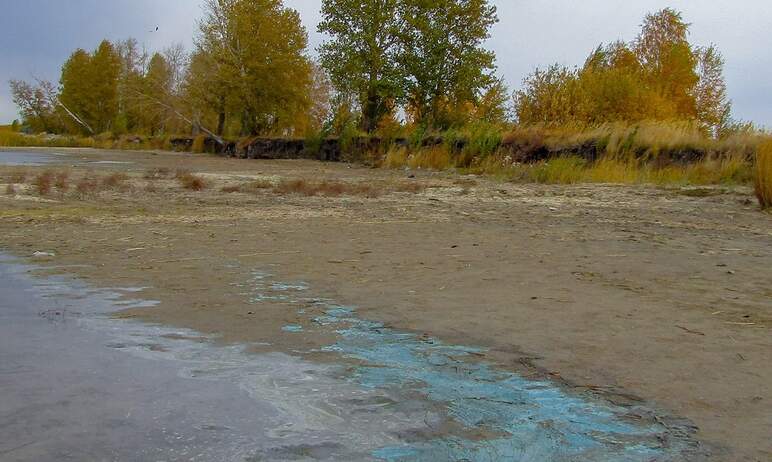 Берег челябинского озера Смолино покрылся голубой пеной вследствие отмирания остатков от цветения