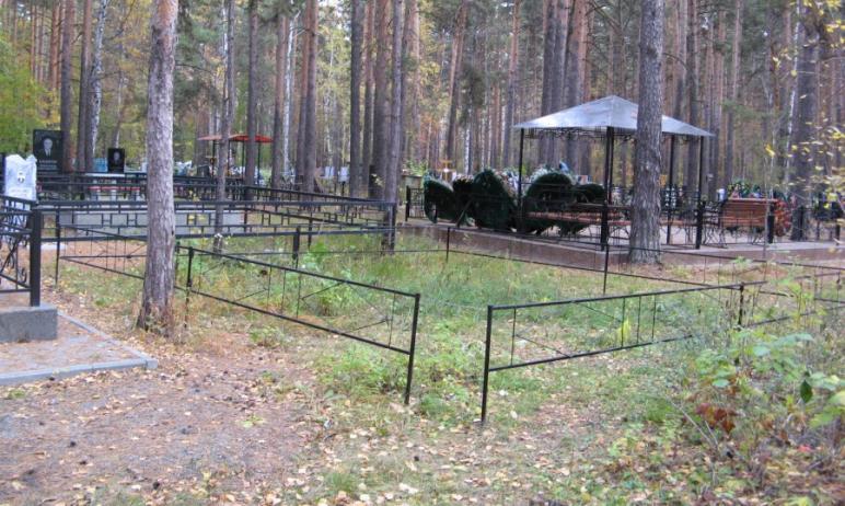 Челябинские кладбища до сих пор не очистили от мусора. Работы по их очистке к настоящему моменту 