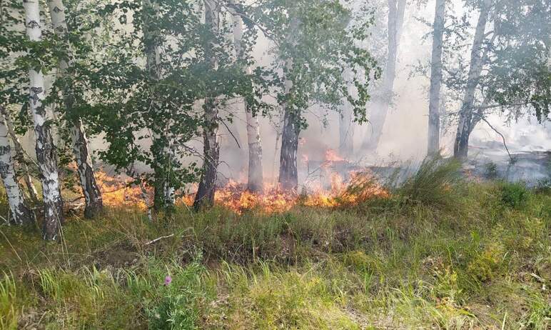 В отдельных районах Челябинской области сохраняется высокий класс пожарной опасности, в юго-запад