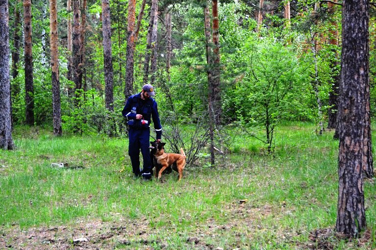 В миасскую службу спасения поступил вызов в лесной массив в районе коллективного сада «Солнечная 
