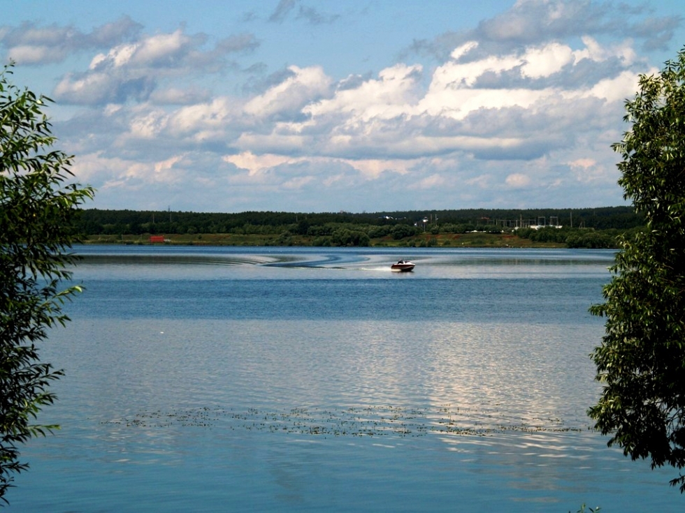 Челябинск шершни фото