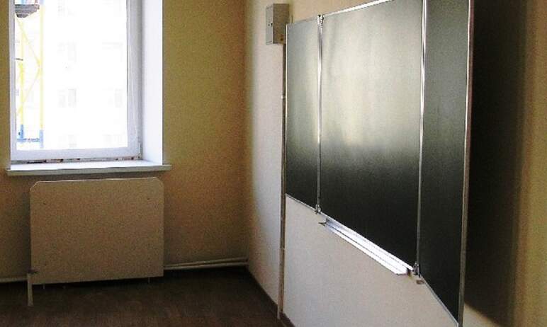 В Челябинской области пока нет предпосылок для перевода учащихся школ на дистанционное обучение. 