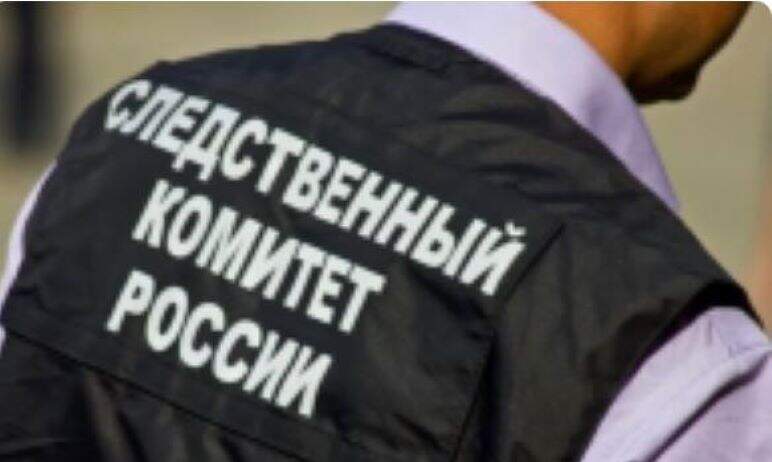 В Снежинске (Челябинская область) проводится проверка по факту смерти на пожаре двух жителей горо