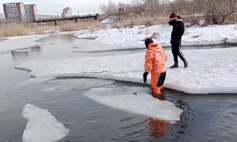 В Челябинске сегодня, 23 марта, спасатели сняли со льдины на реке Миасс четверых школьников.