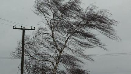 Фото Синоптики предупреждают об усилении ветра, жаре и граде в воскресенье