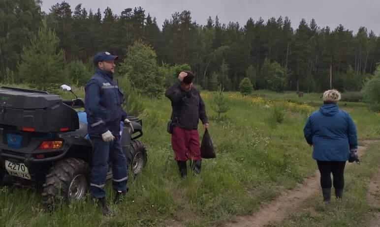 Фото Затерянные в лесах: жители Челябинской области уходят за грибами и пропадают