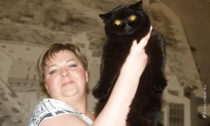 Фото В Челябинске отметили международный «День Черного кота»
