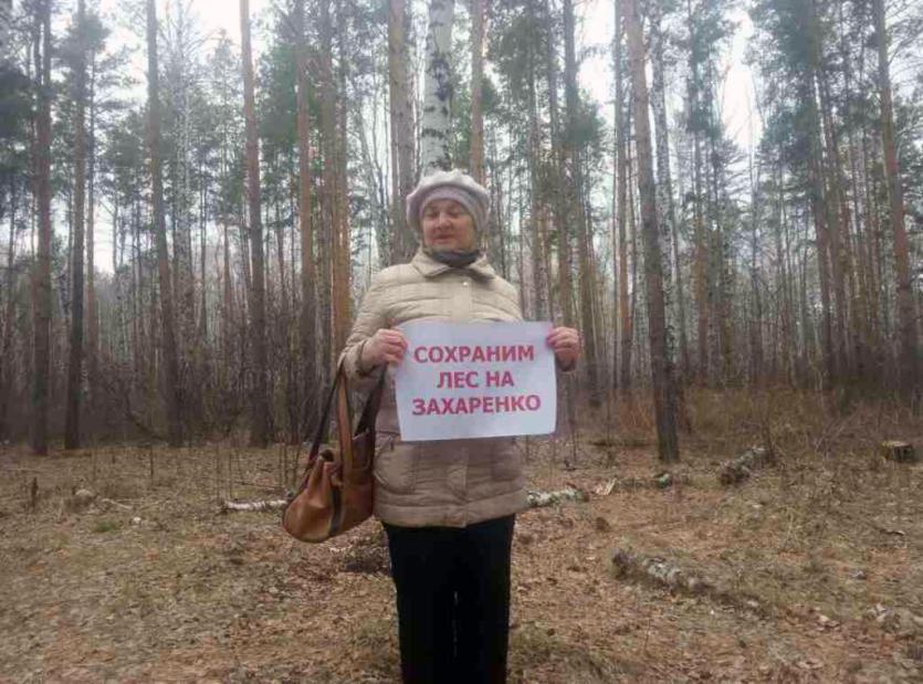 Фото Челябинцы горой стоят за деревья на улице Захаренко, депутаты поддерживают