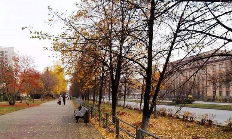 Фото В выходные в Челябинской области прохладно, без осадков, возможны магнитные бури